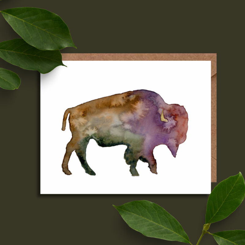 Bison