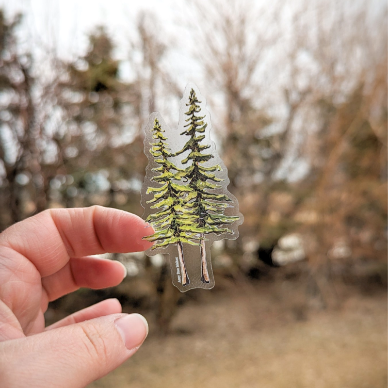 Pine Tree Sticker