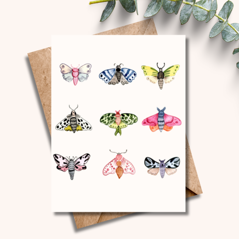 Bright Moths