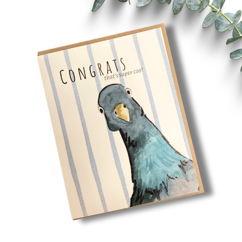 Pigeon Congrats