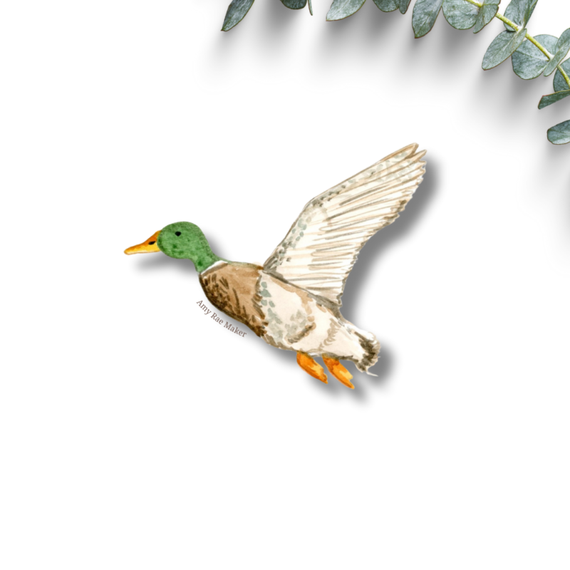Mallard Sticker